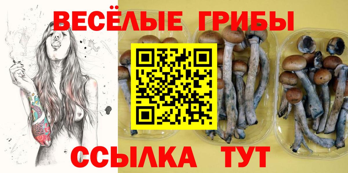 Псилоцибиновые грибы Psilocybine cubensis Жигулёвск